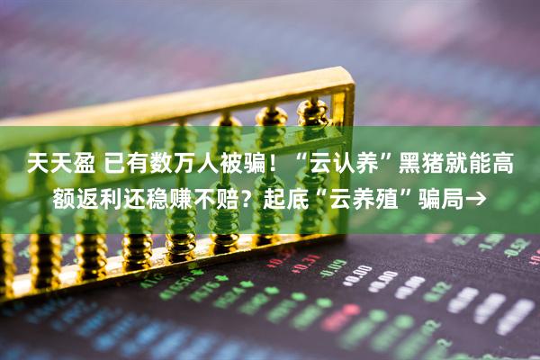 天天盈 已有数万人被骗！“云认养”黑猪就能高额返利还稳赚不赔？起底“云养殖”骗局→