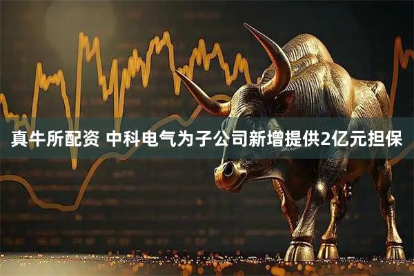 真牛所配资 中科电气为子公司新增提供2亿元担保