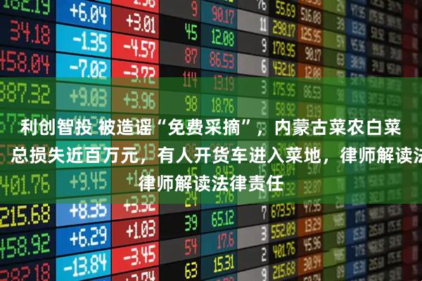 利创智投 被造谣“免费采摘”，内蒙古菜农白菜遭哄抢，总损失近百万元，有人开货车进入菜地，律师解读法律责任